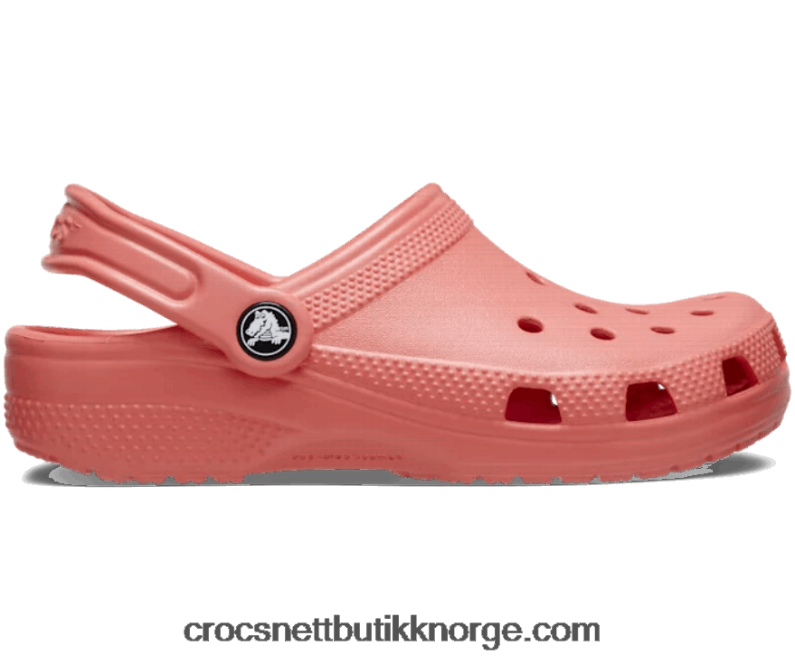 barn klassisk tresko for småbarn Crocs neon vannmelon 6802D41331